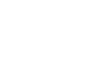 Doublespring logo